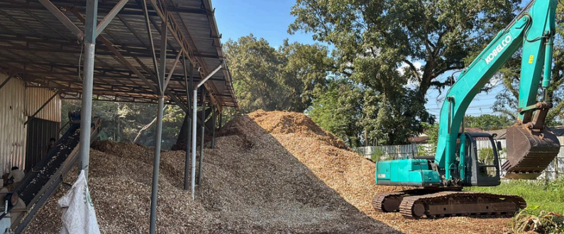 screenshot 2026 03 15 122800