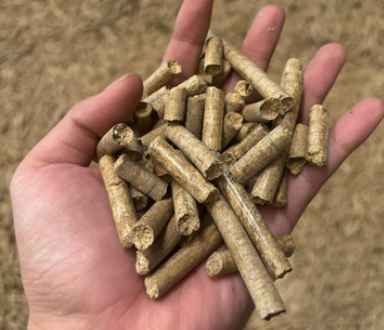 screenshot 2026 03 15 122810