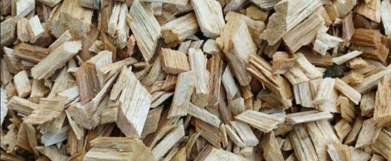 screenshot 2026 03 15 122840