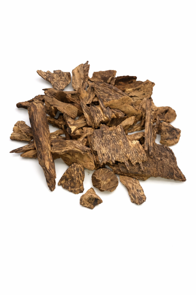 chatgpt image apr 5, 2026, 12 16 40 am