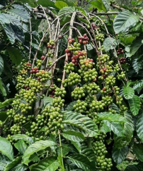 screenshot 2026 04 03 024624